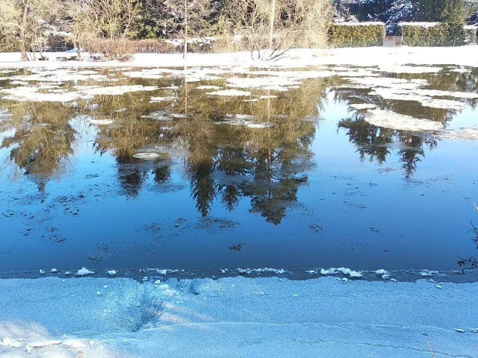 Chata Eva Villa Planá nad Lužnicí Buitenkant foto