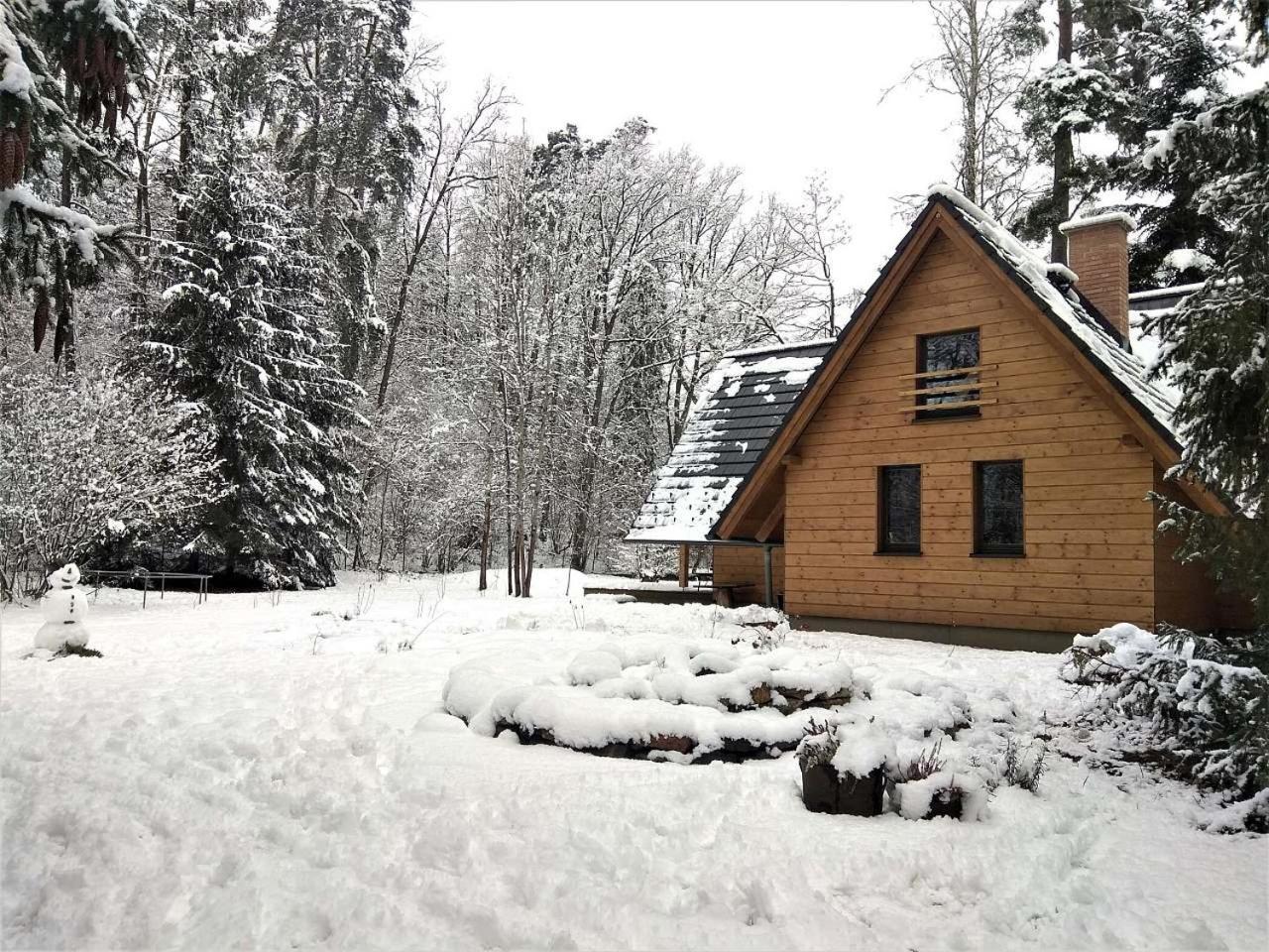 Chata Eva Villa Planá nad Lužnicí Buitenkant foto